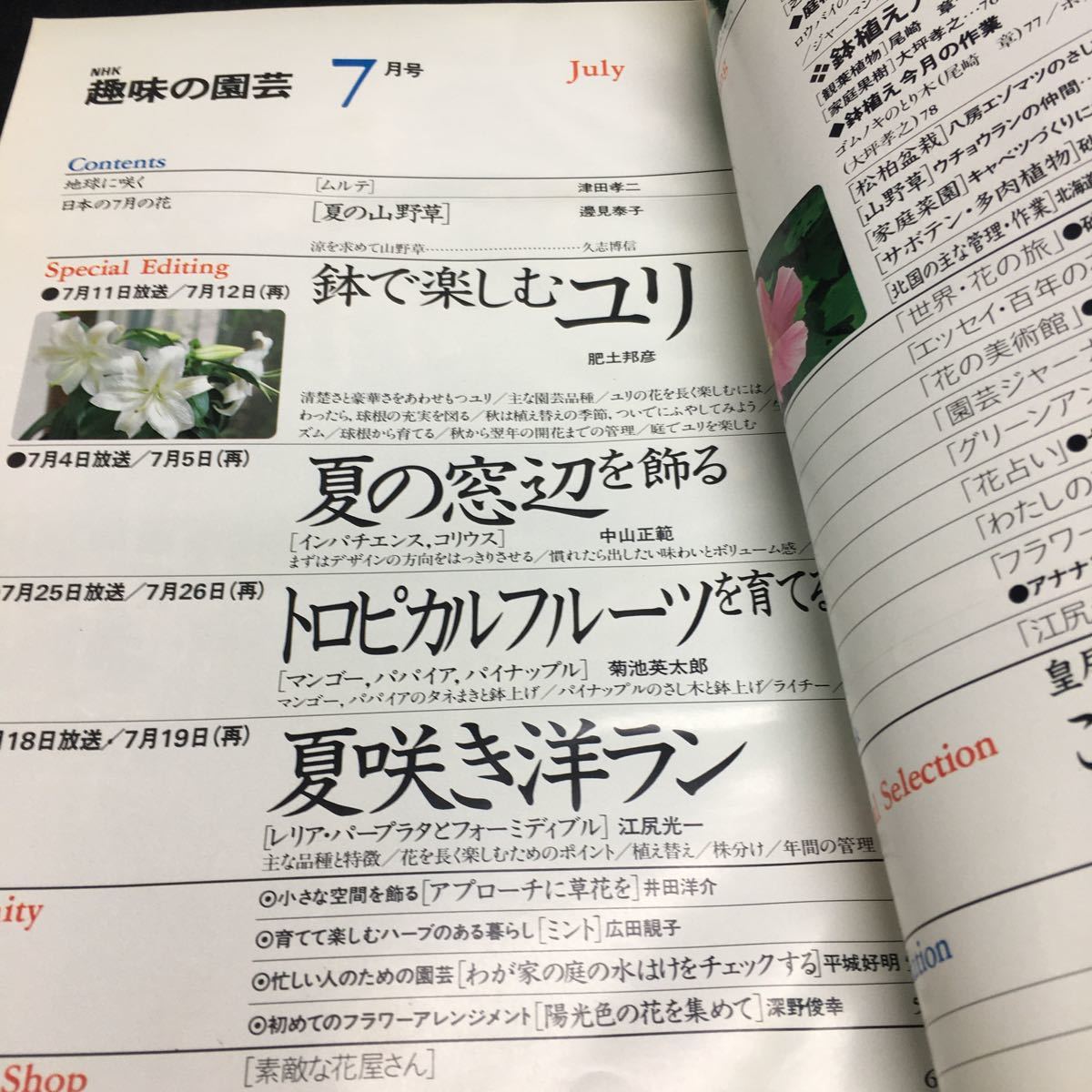 b-445 NHK趣味の園芸7 ●鉢で楽しむユリ●夏の窓辺を飾る●トロピカルフルーツ●夏咲き洋ラン●皇居の園芸② ほか... ※0_画像2