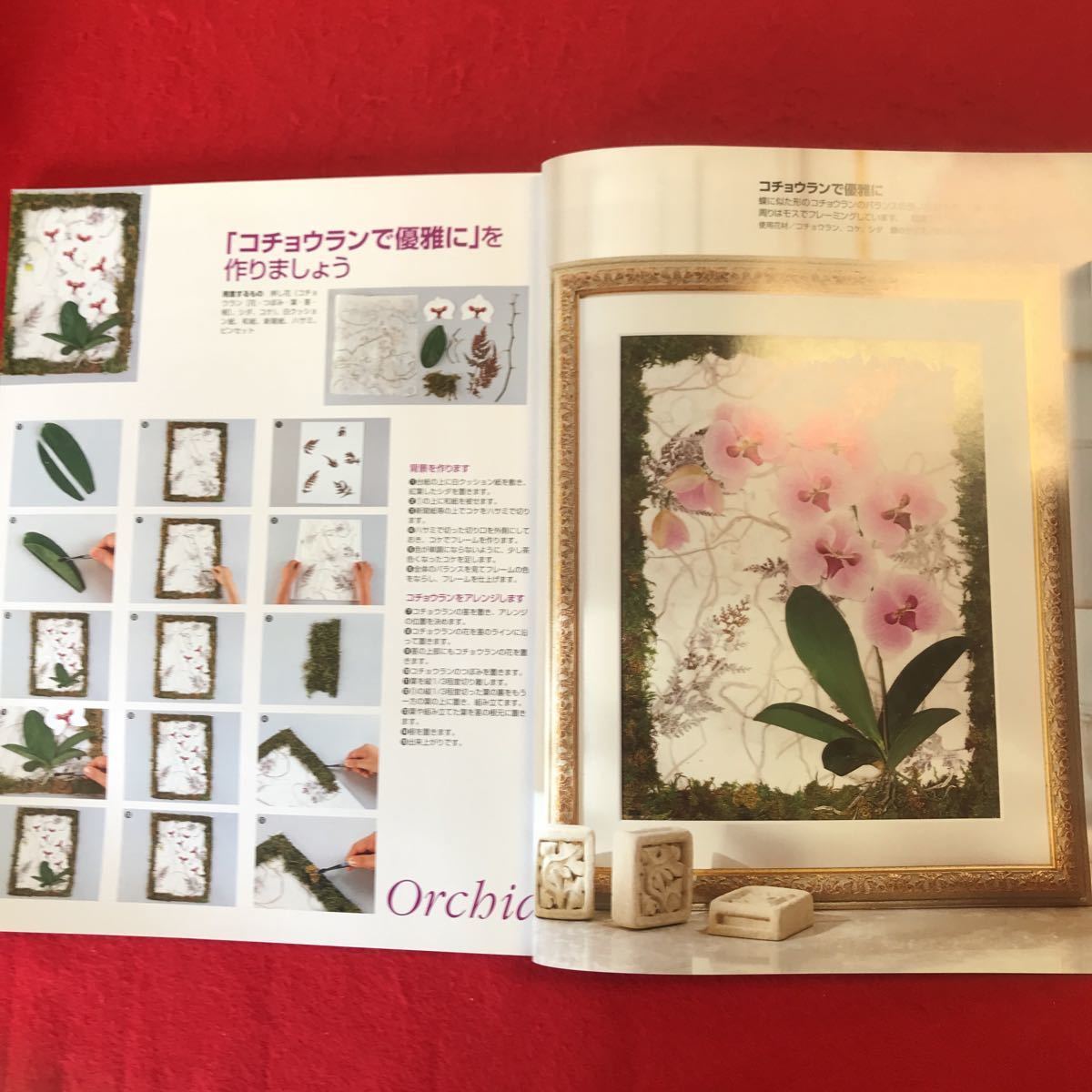 f-314 *0 my flower life Japan Vogue company No.19 2004 year 1 month 1 day issue special collection : orchid. pressed flower . table wear accessory Hello Kitty. pressed flower 