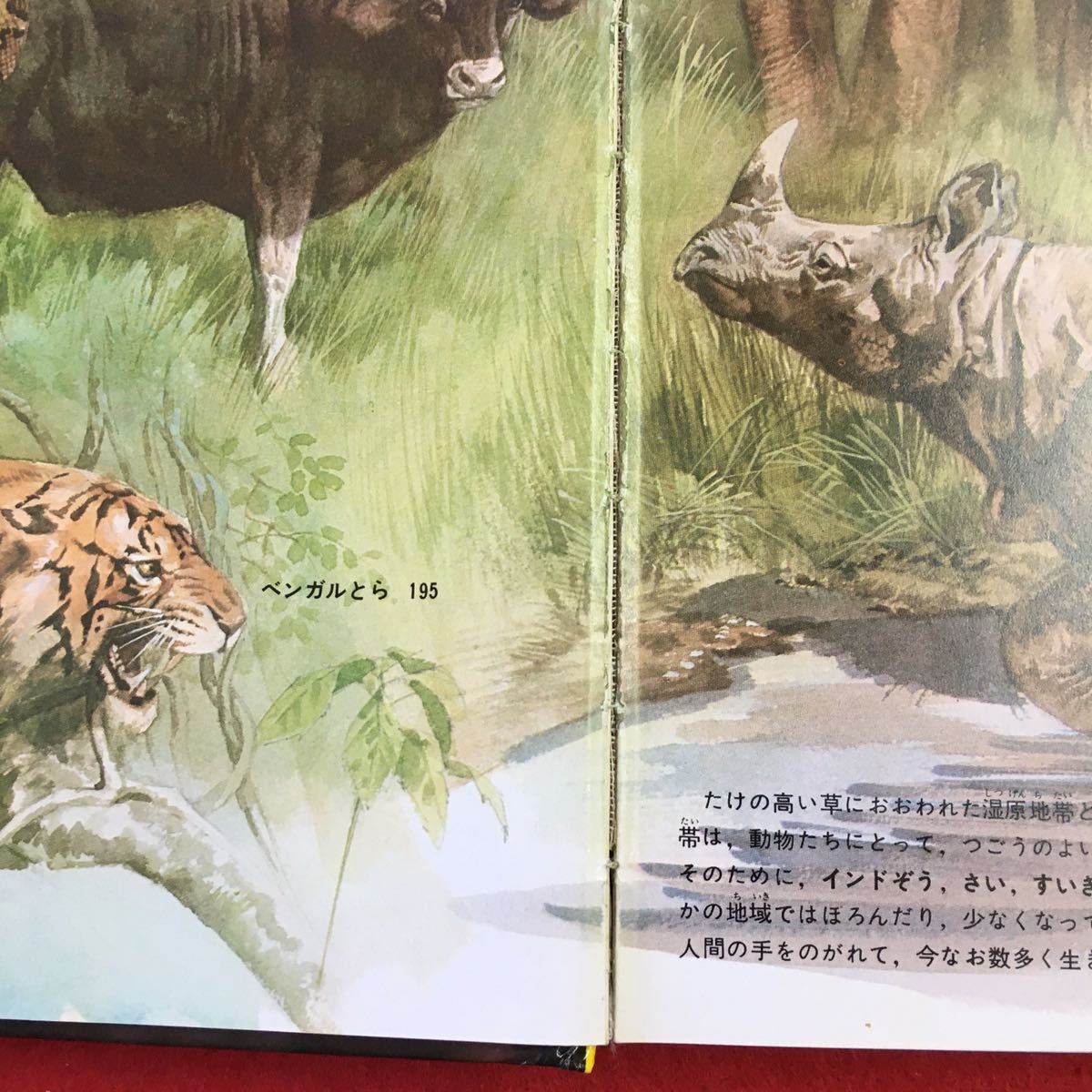 i-310 ※0 動物の図鑑 小学館の学習百科図鑑 5 昭和58年6月20日 i-310 ※0 動物の図鑑 小学館の学習百科図鑑 5 昭和58年6月20日