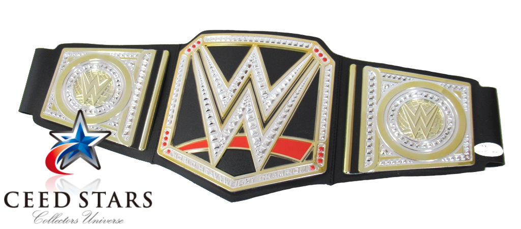 [CS patent (special permission) ]lik* Flare with autograph WWE Champion belt JSA company autograph . site visually limitation proof attaching si-do Star z certificate 