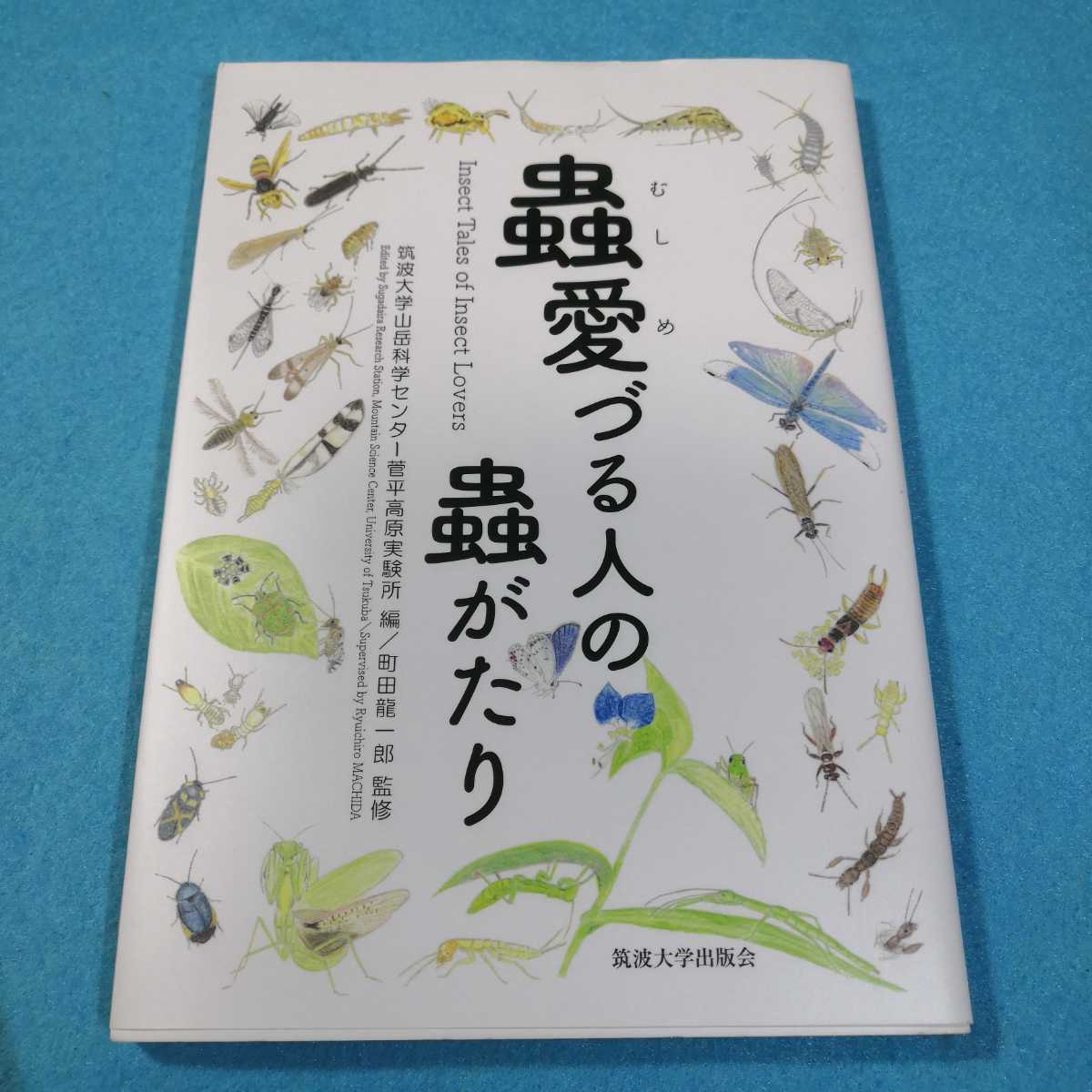 蟲愛づる人の蟲がたり 筑波大学山岳科学センター菅平高原実験所／編　町田龍一郎／監修●送料無料・匿名配送