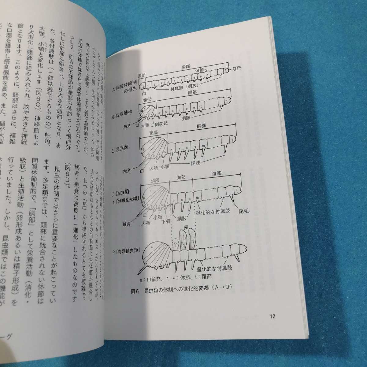 蟲愛づる人の蟲がたり 筑波大学山岳科学センター菅平高原実験所／編　町田龍一郎／監修●送料無料・匿名配送