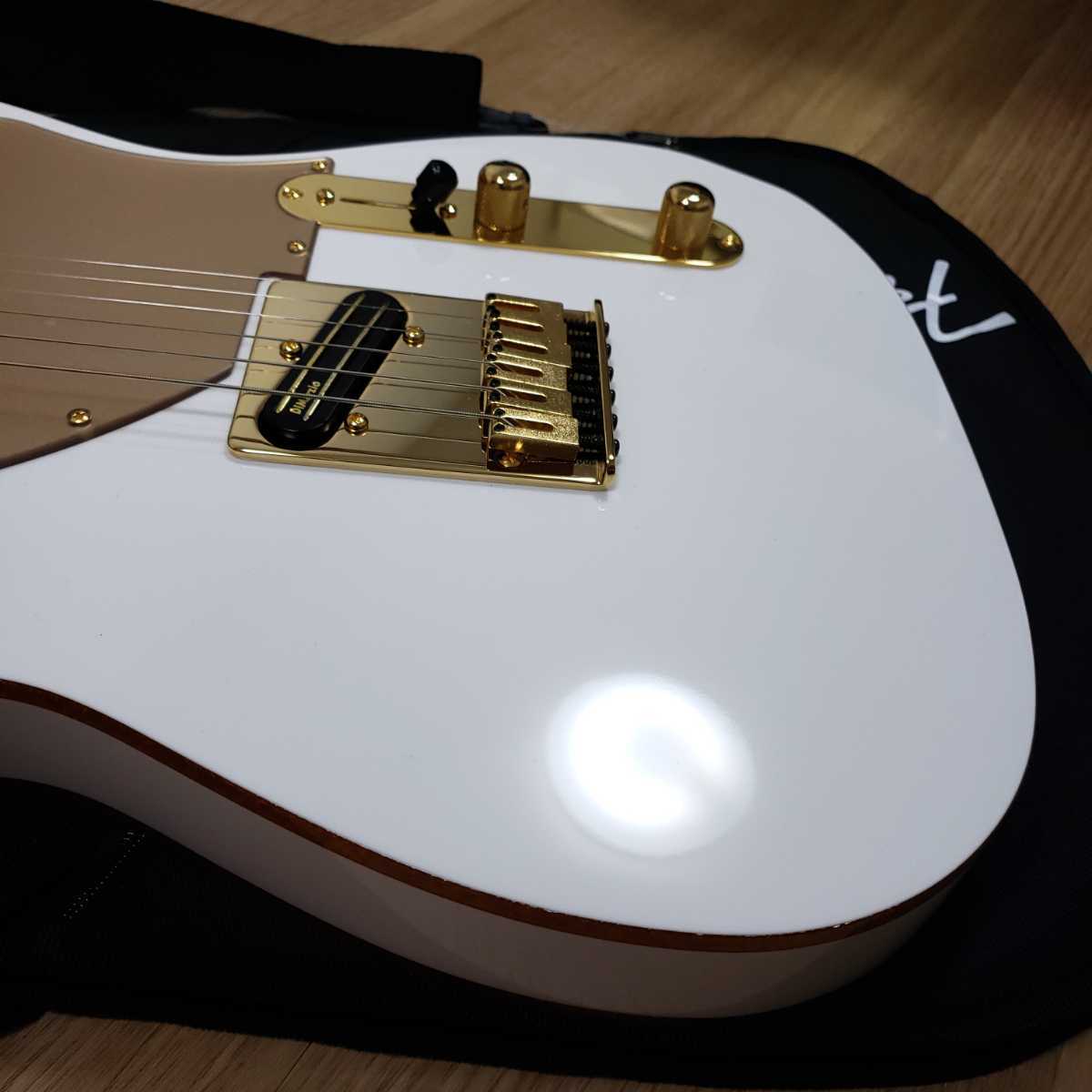 Fender SCANDALシグネイチャーモデル HARUNA TELECASTER Fender SCANDALシグネイチャーモデル HARUNA TELECASTER