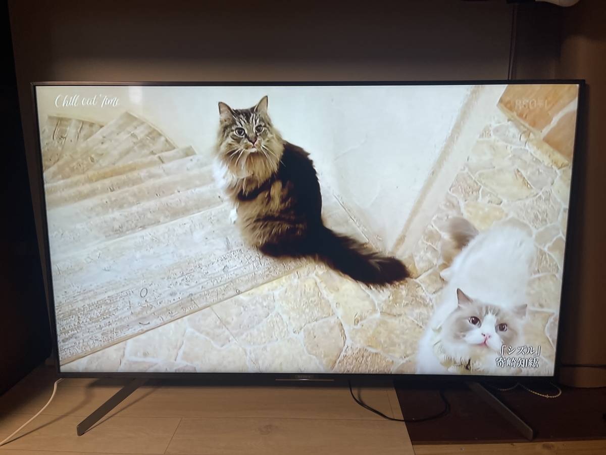 SONY BRAVIA 55v型 プレミアム4K 液晶テレビ 2020年式 Netflix ビデオ