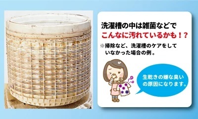 新品 ヨウ素の洗濯槽クリーン2個セット 洗濯槽と洗濯物を同時にしっかり除菌・消臭 3～4ヵ月使えます_画像4