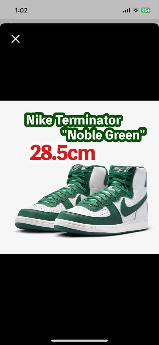 Nike Terminator High 