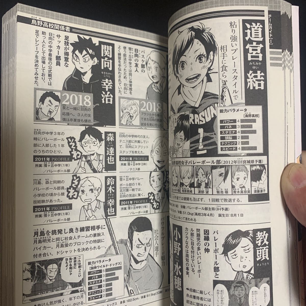 ハイキュー ファイナルガイドブック排球極 (ジャンプコミックス ハイキュー ファイナルガイドブック排球極 (ジャンプコミックス