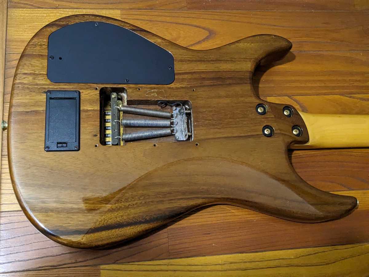 メンテ済 FERNANDES FR-120S モンキーポッド サスティナー-