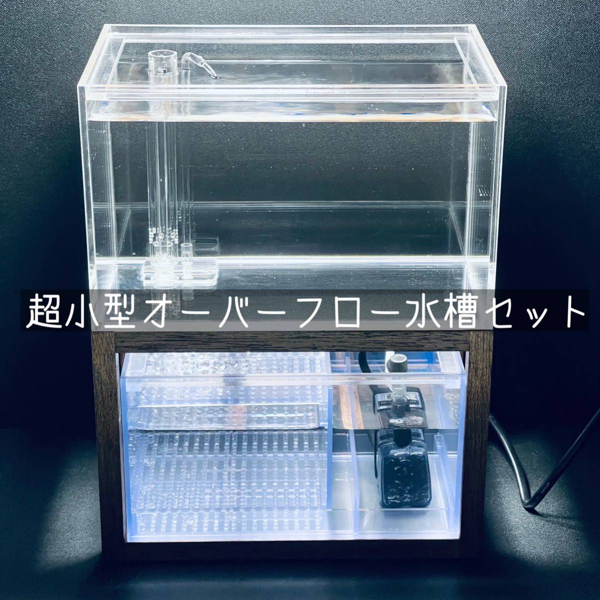 Yahoo!オークション - 24センチ水槽 オリジナル超小型アクリル製 Yahoo!オークション - 24センチ水槽 オリジナル超小型アクリル製