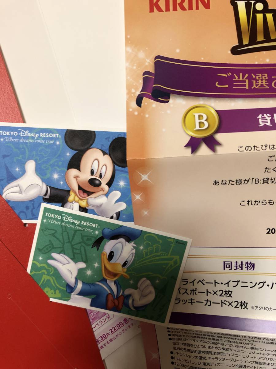 70%OFF】 東京ディズニーランド貸切イベント 2 24 19:30〜22:30 2枚