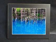  beautiful . blue . nature scenery photograph wooden panel 