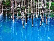  beautiful . blue . nature scenery photograph wooden panel 