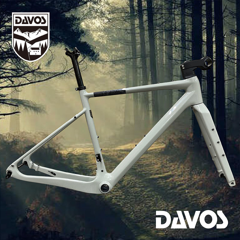 【新品】DAVOS(ダボス) D-309 ネオスポルティーフ　Mサイズ520　フレームセット　グラベルロード