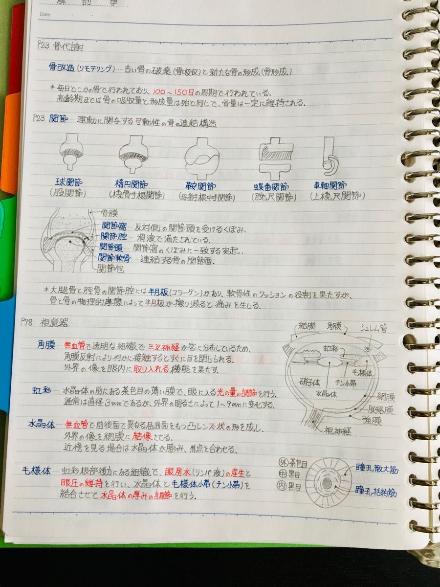 看護師、准看護師国家試験、看護学科定期試験対策シリーズ【解剖学】まとめノート