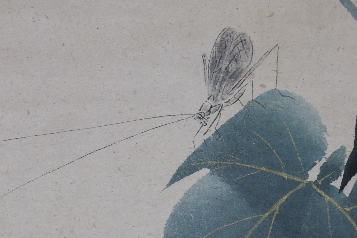 模写 肉筆画 平安美女一対 現状渡し 酒井抱祝極箱 紙本 掛軸 酒井抱一作
