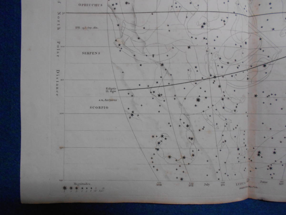 即決1811年英国『ウオラストン星図第5図』星座早見盤、天文暦学書、アンティーク、Astronomy, Star map, Celestial chart, Planisphere