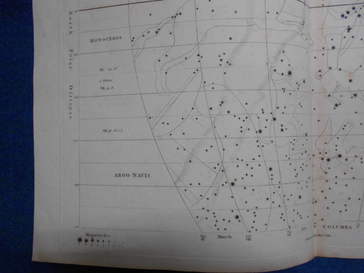 即決1811年英国『ウオラストン星図第8図』星座早見盤、天文暦学書、アンティーク、Astronomy, Star map, Celestial chart, Planisphere