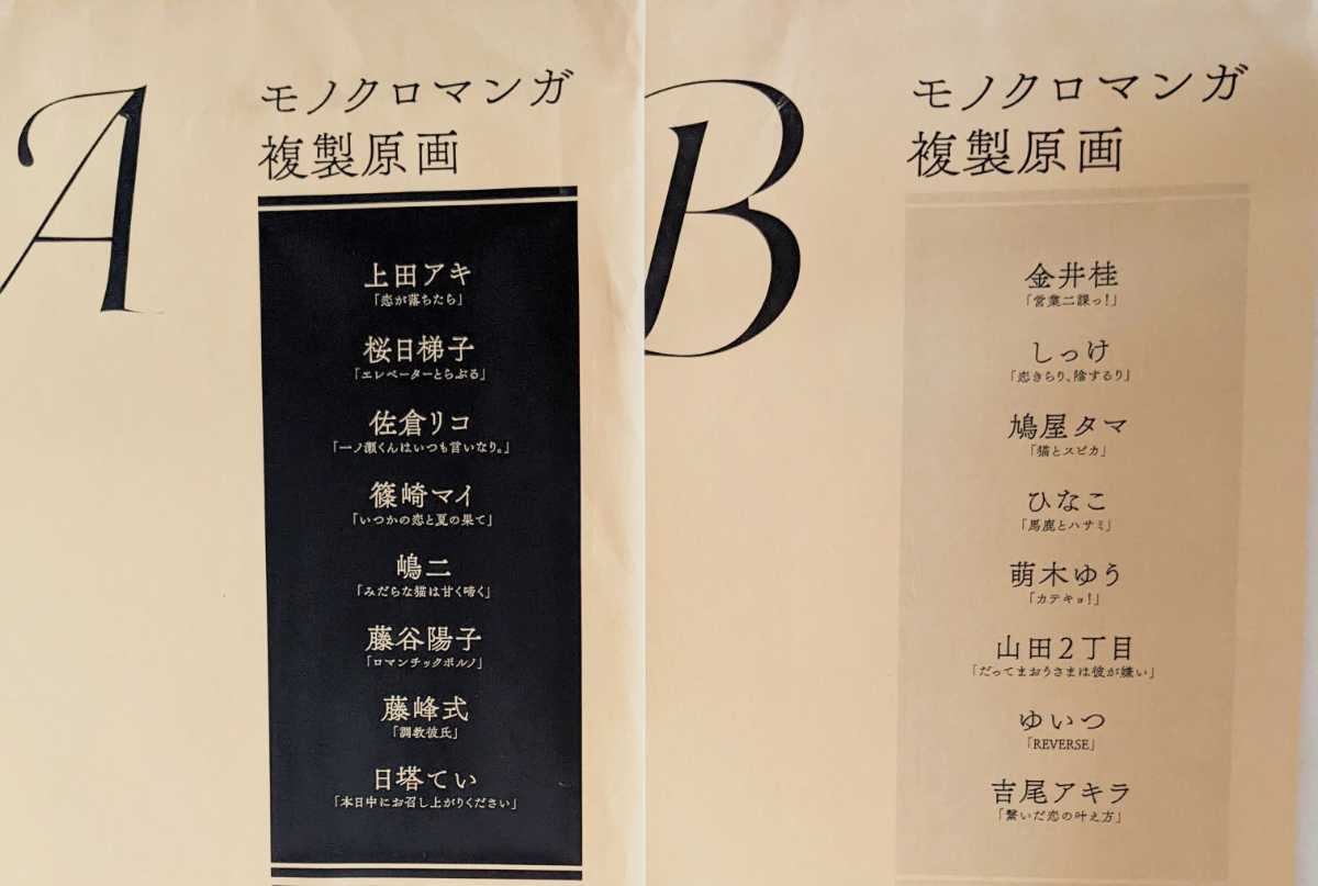 drap 　モノクロマンガ複製原画