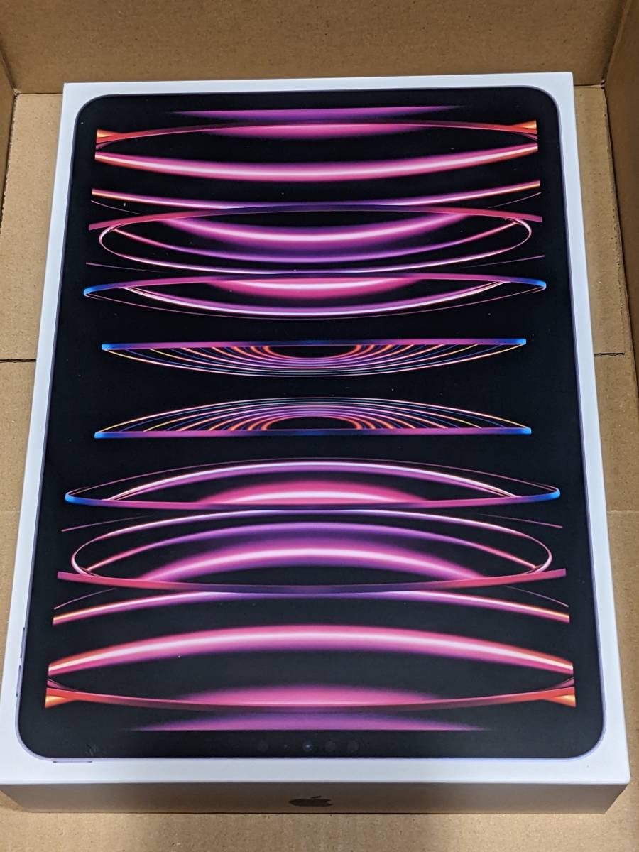 新品 未使用 即発送 2022 Apple 11インチ iPad Pro (Wi-Fi, 128GB