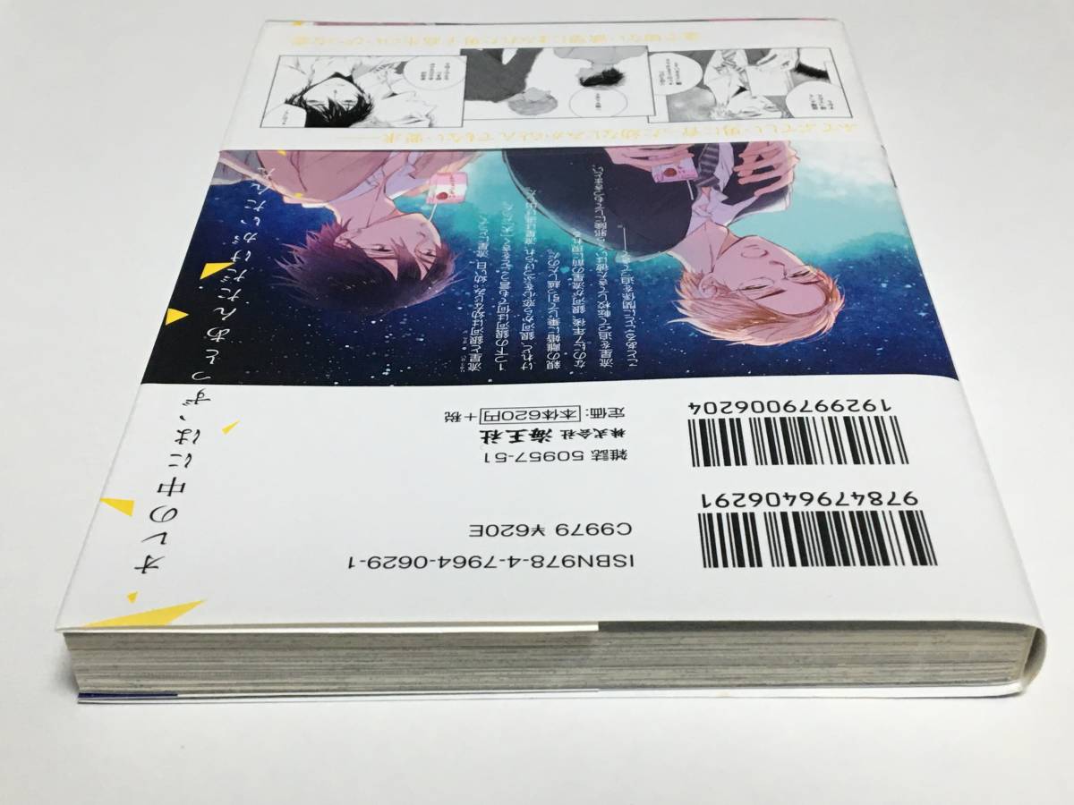 紺色ルナ 流星と銀河 サイン本 初版 Autographed 簽名書 離婚しやがれ、α様の画像5