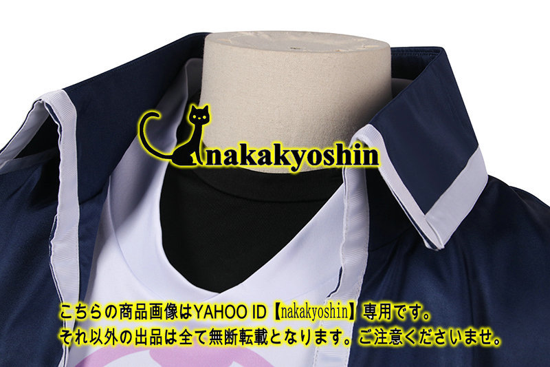 完璧主義 nakakyoshin出品○ポケモンレジェンズ アルセウス ノボリ その他