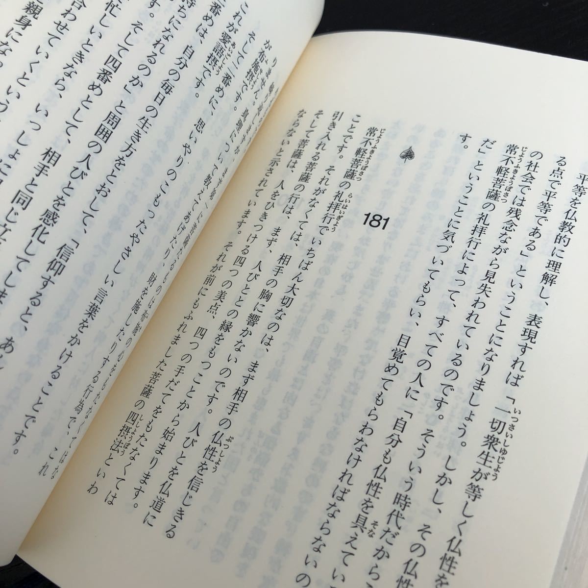 た79 瀉瓶無遺 しゃびょうむい 庭野日敬 いのちここに 小説 日本 本 供養 社会 平和 世界 仏教 仏様　宗教_画像7