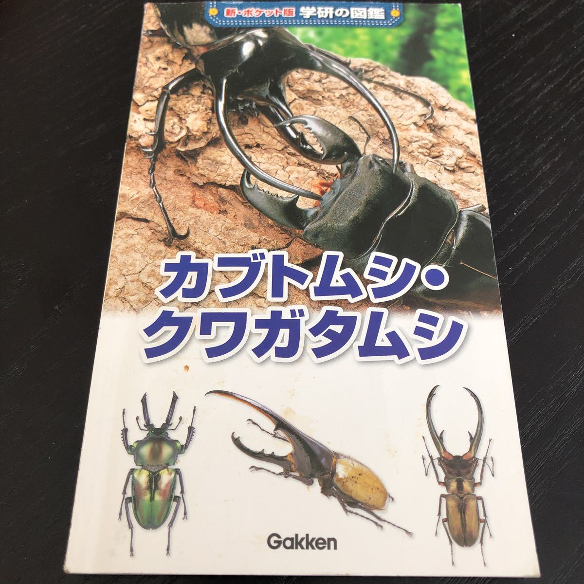 た89 カブトムシ クワガタムシ 学研の図鑑11 手持ち 持ち歩き 昆虫 成虫 種類 育て方 飼育　幼虫 生物_画像1