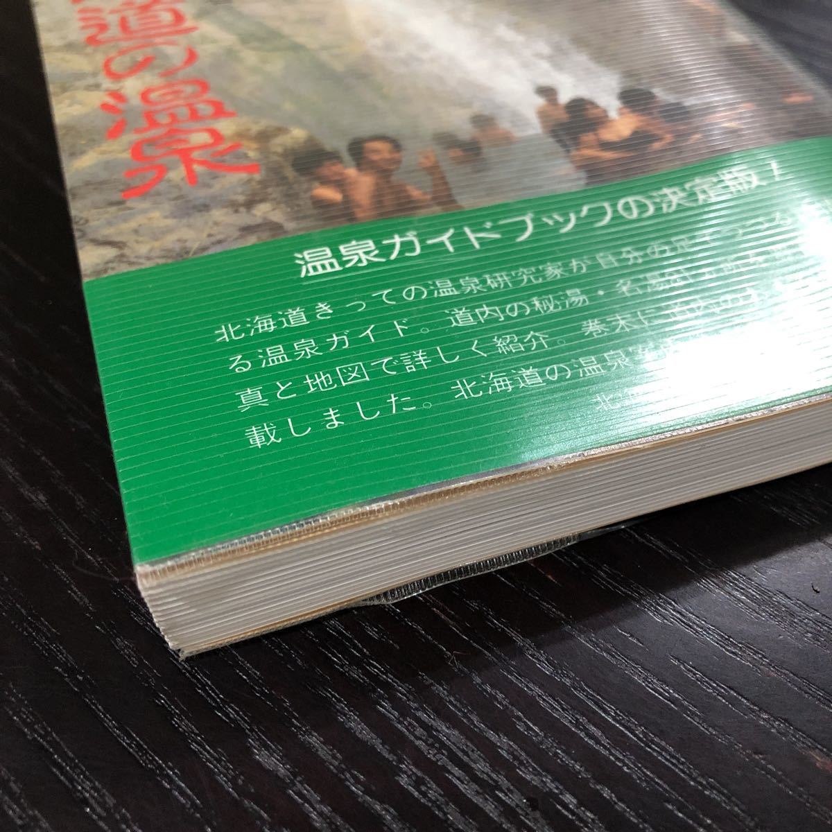 ち9 北海道の温泉 北海道新聞社 松田忠徳 観光 旅行 案内 名湯 秘湯 ガイド 露天風呂 昭和 レトロ 混浴 宿 ホテル ニセコ 北湯沢 資料 _画像2