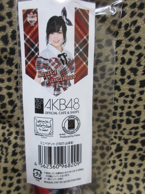 山本彩　ミニペナント（１５０７）　AKB48_画像2