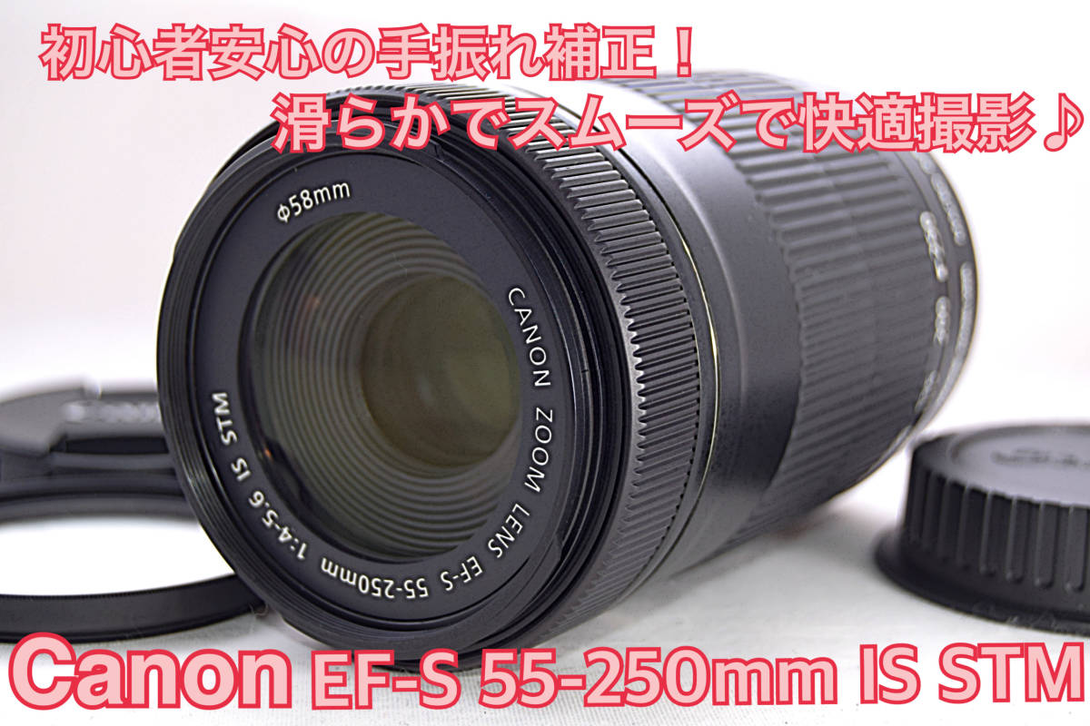 極美品Canon EF-S 55-250㎜ IS STM手振れ補正付き｜PayPayフリマ