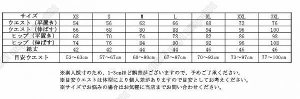 新品！スーパープロテクター アンダーパンツ ガード 大人用 バイク用 転倒防止 サイクル スキー ツーリング レーシング オールシーズ 黒 S_画像10