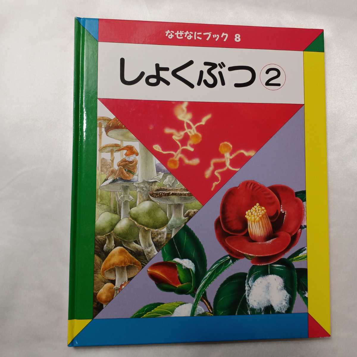 zaa-415♪日本学校図書株式会社のなぜなにブック〈7・8〉しょくぶつ①②　2冊セット　日本学校図書株式会社　2008/01/10_画像7