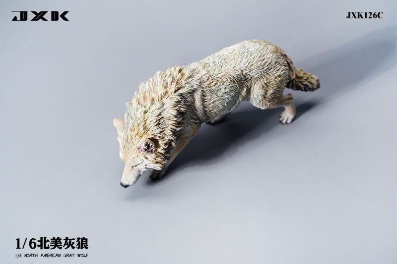 JxK Studio. gray oo kamiJXK126 C figure 1/6 scale North America grey oo kami animal .. ornament 