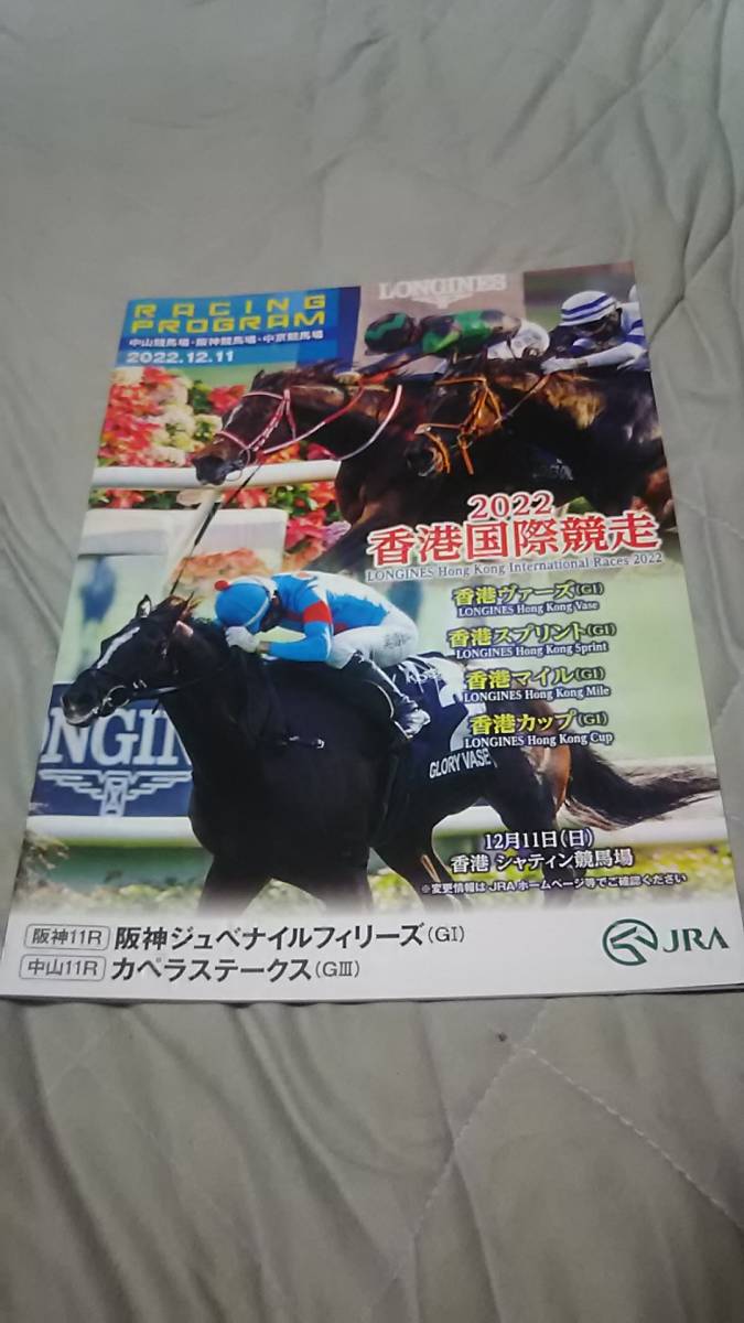 2019年&2022年 カラーレーシングプログラム11冊&オマケ！ 日本ダービー、ジャパンカップ、有馬記念、天皇賞・秋、菊花賞、競馬の殿堂_2022年 阪神ＪＦ&香港国際競走