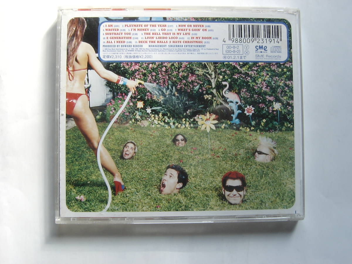 ♪　中古ＣＤ　ゼブラヘッド zebrahead 『PLAYMATE OF THE YEAR』　国内盤　♪_画像8