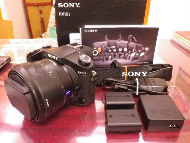 ソニーCyber−Shot RX DSC-RX10M2 | www.ddechuquisaca.gob.bo