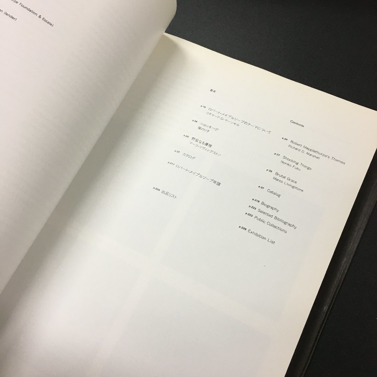在庫一掃 ロバート メイプルソープ 1996年 図録 ecousarecycling.com