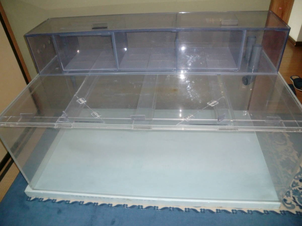 特注 750×750×500 アクリル水槽 | www.mclegal.info