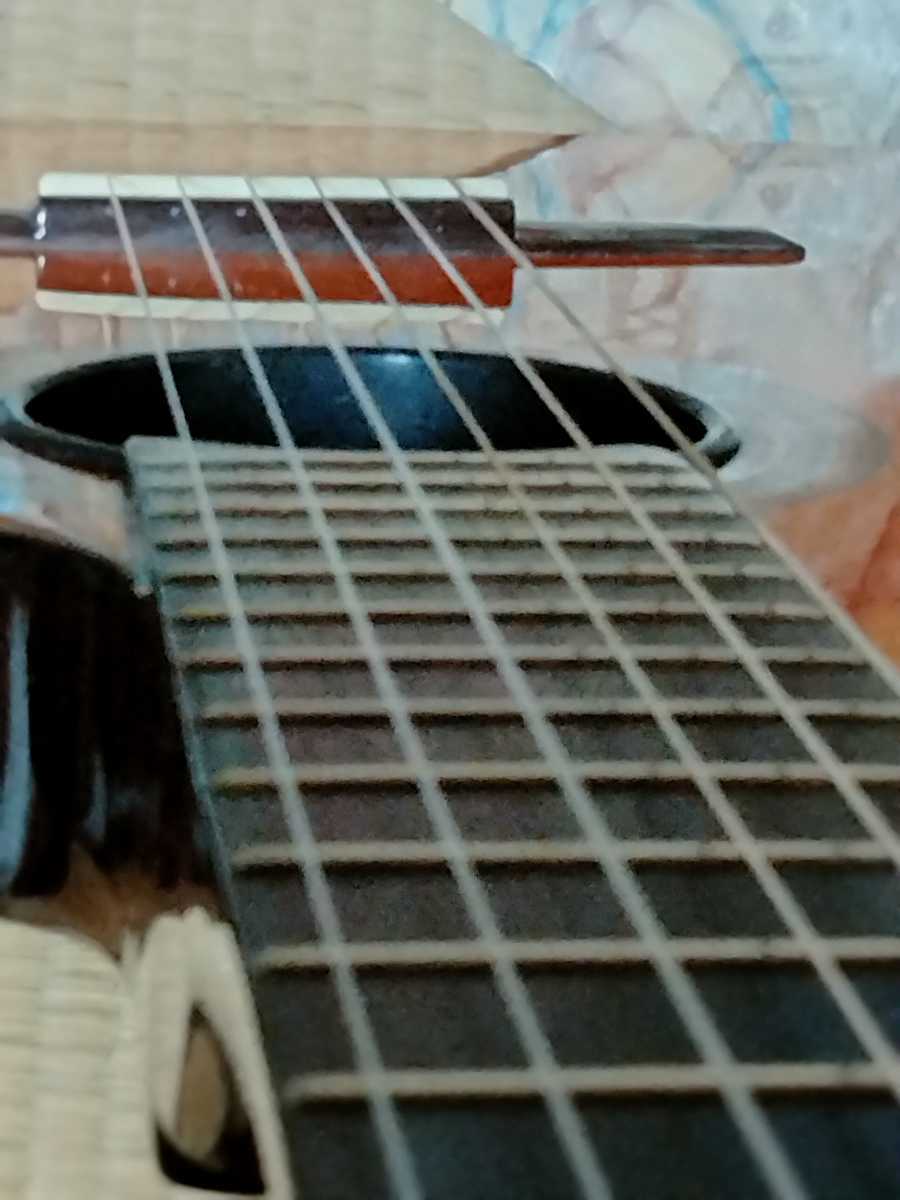 美品 エピフォン EPIPHONE チェット アトキンス モデル エレガット