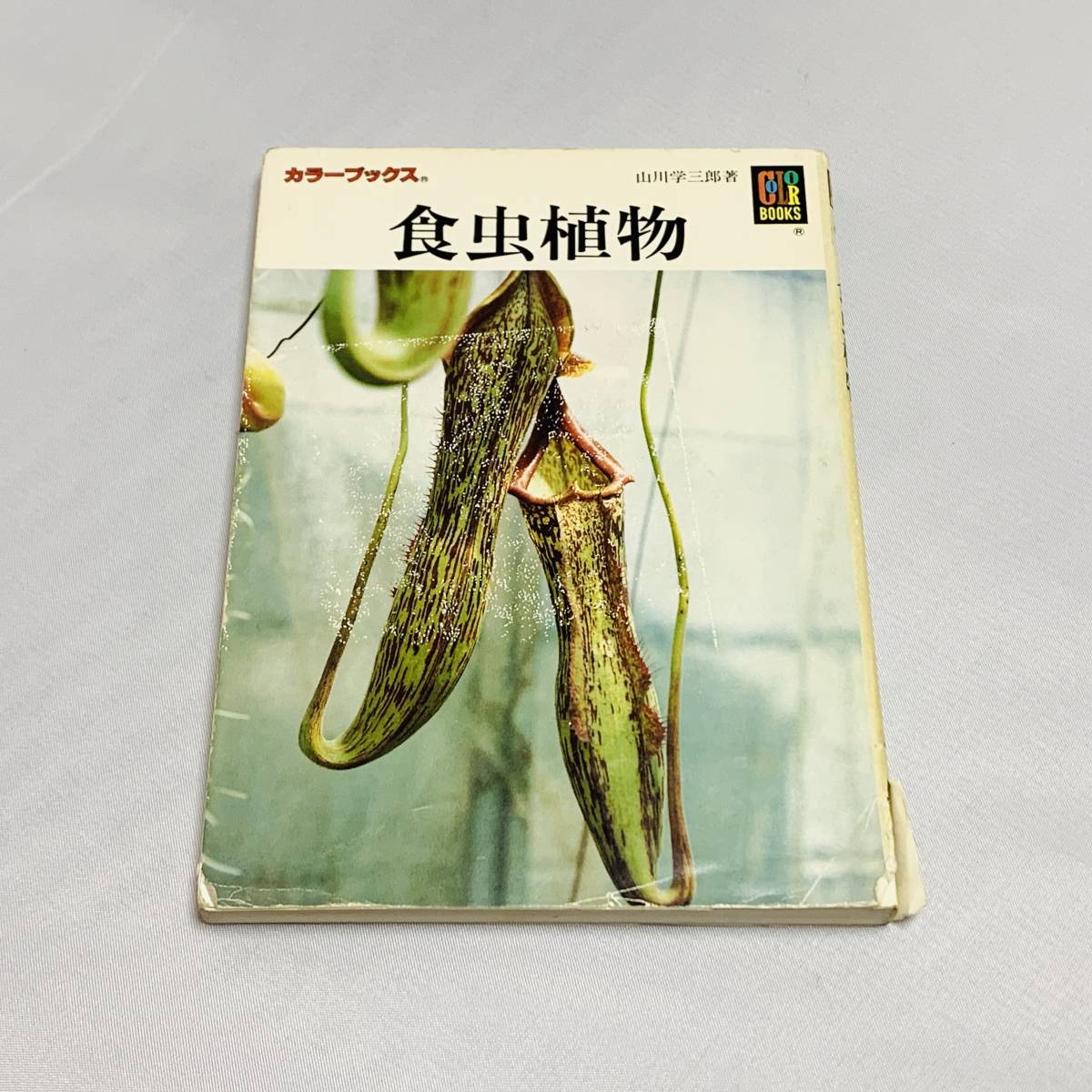 book@* publication [ meal insect plant color books Hoikusha mountain river . Saburou cover damage ]utsubokazla Nepenthes fly toli saw carnivorous plant Nepenthes