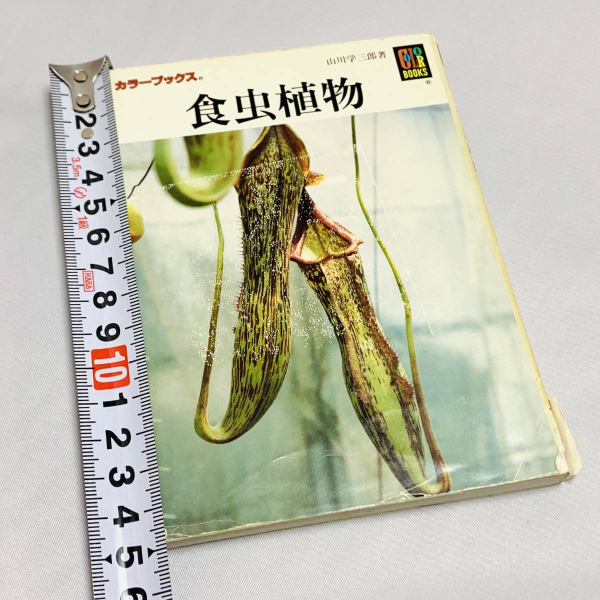 book@* publication [ meal insect plant color books Hoikusha mountain river . Saburou cover damage ]utsubokazla Nepenthes fly toli saw carnivorous plant Nepenthes