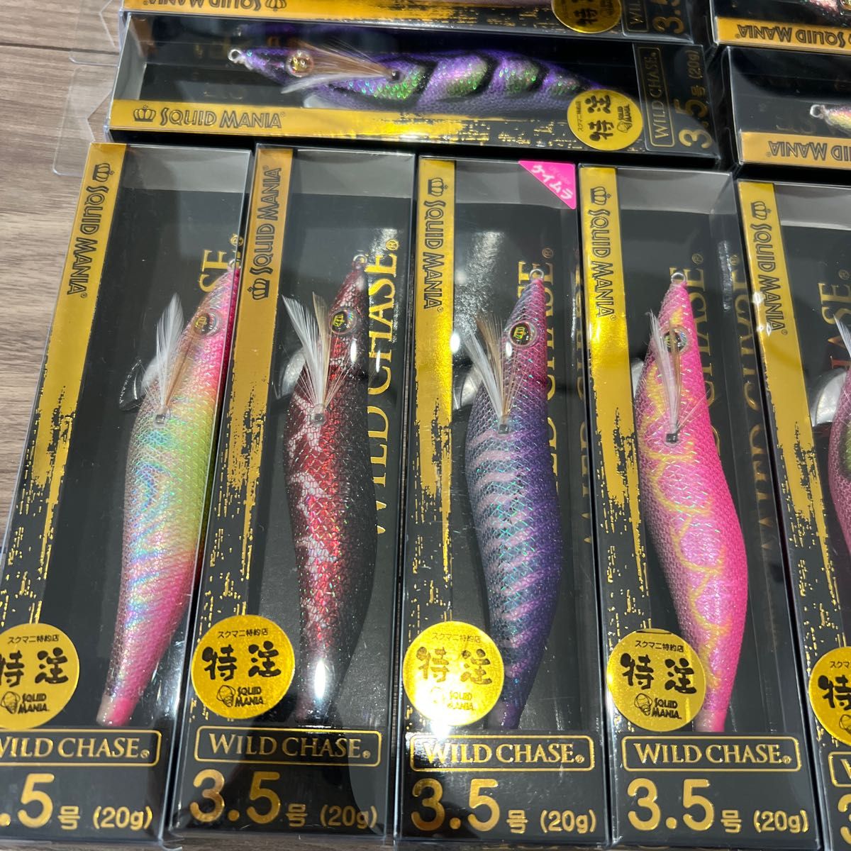 有名な高級ブランド 新品 スクイッドマニア ワイルドチェイス 特注