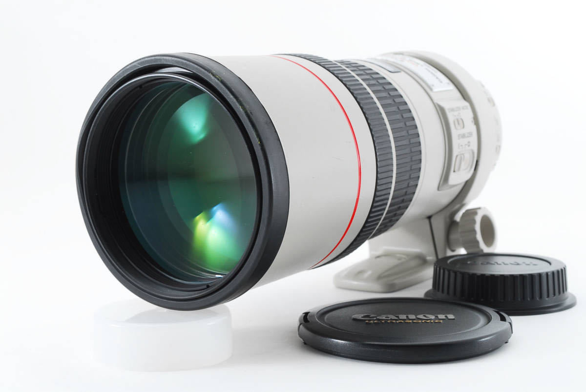 専門店の安心の1ヶ月保証付 Canon/EF300mm F4L IS USM/単焦点望遠