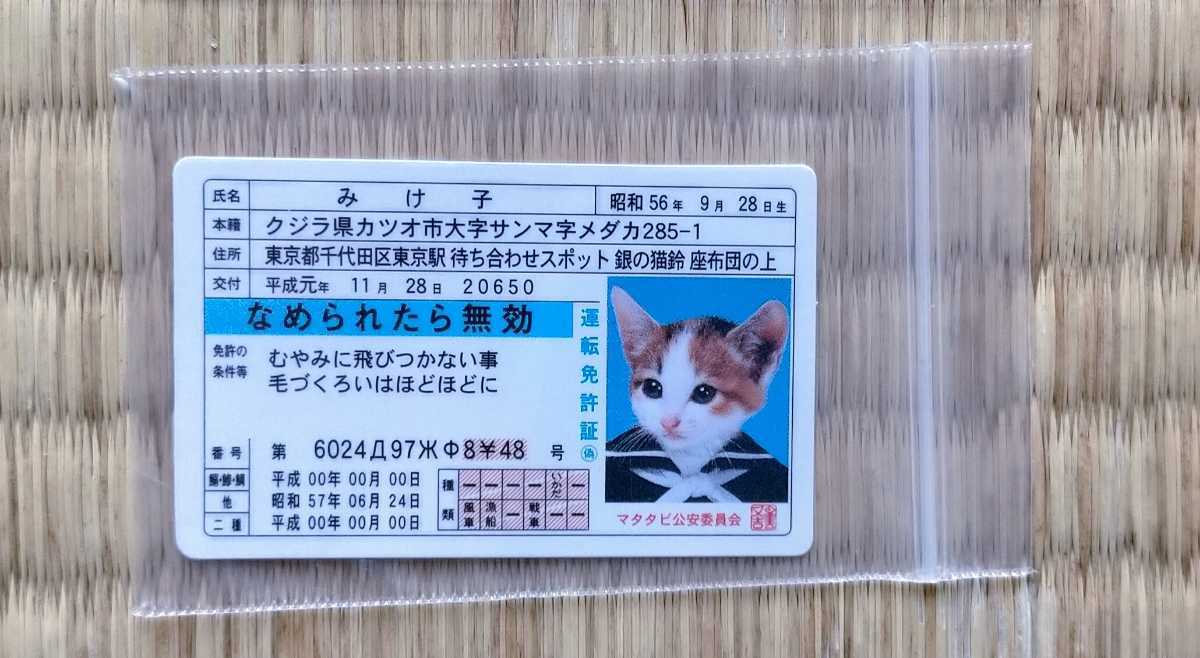 カード なめんなよ 19枚セット 美品 免許証 なめ猫免許証 なめ猫 なめねこ 又吉 ニャン太郎 みけ子 どら吉 トラ次郎 ヒゲオの画像5