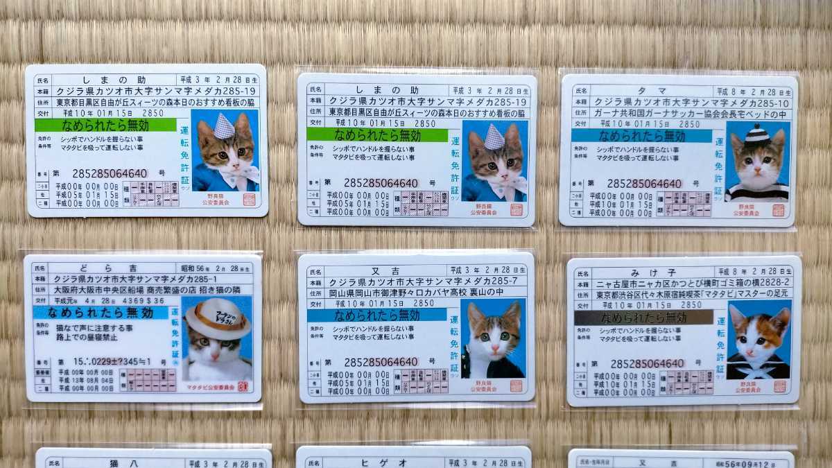 カード なめんなよ 19枚セット 美品 免許証 なめ猫免許証 なめ猫 なめねこ 又吉 ニャン太郎 みけ子 どら吉 トラ次郎 ヒゲオの画像2