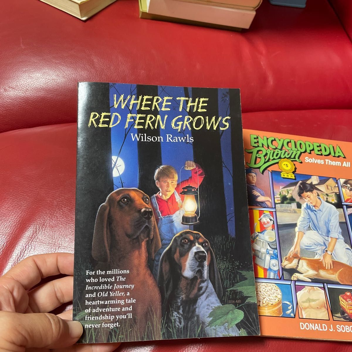 「Where the red fern grows」と「Encyclopedia brown」とチャーリーとチョコレート工場の3冊