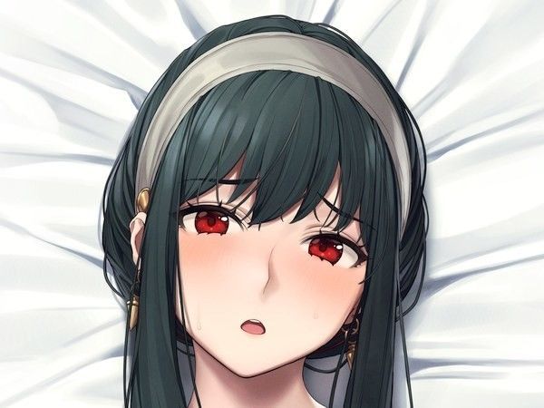 正規品・未開封】SPY×FAMILY ヨル・フォージャー抱き枕カバー 正規品・未開封】SPY×FAMILY ヨル・フォージャー抱き枕カバー