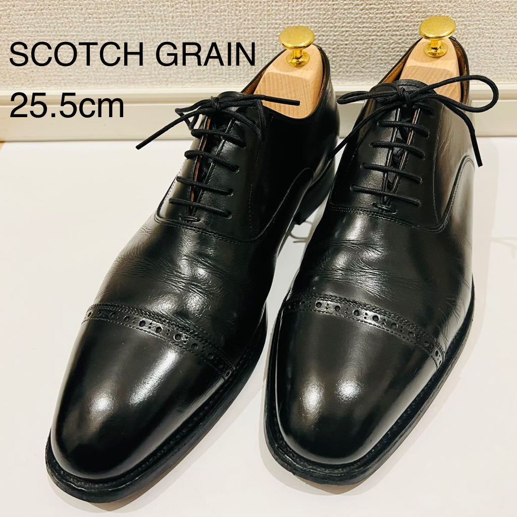 最安値挑戦 SCOTCH GRAIN 革靴 セミブローグ ecousarecycling.com