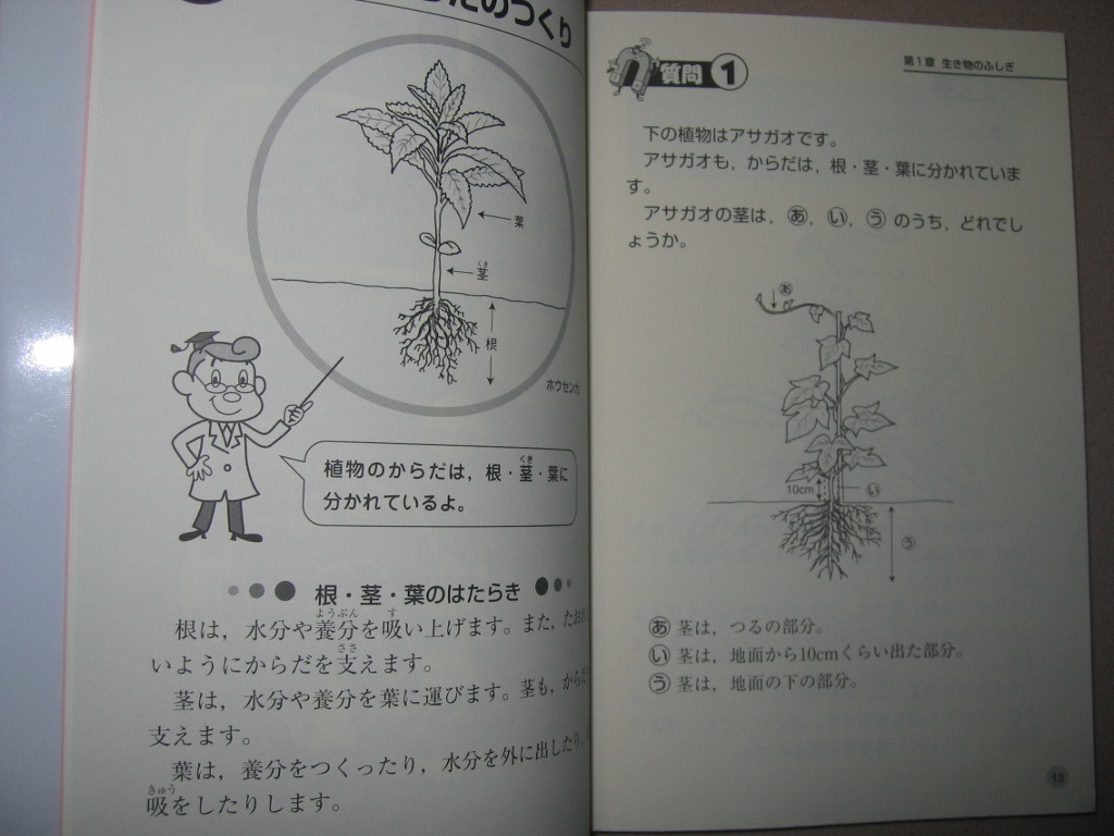 item_image_6