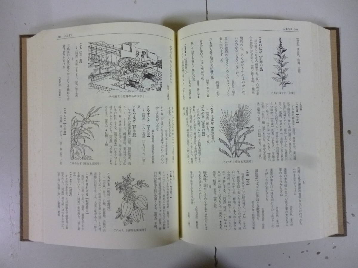 日本うたことば表現辞典 植物編（上・下）_画像3